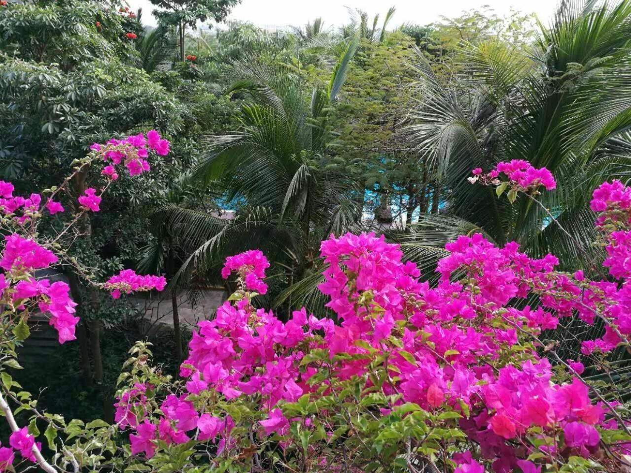 Stony Brook Villa Jianguo Resort Szanja Kültér fotó